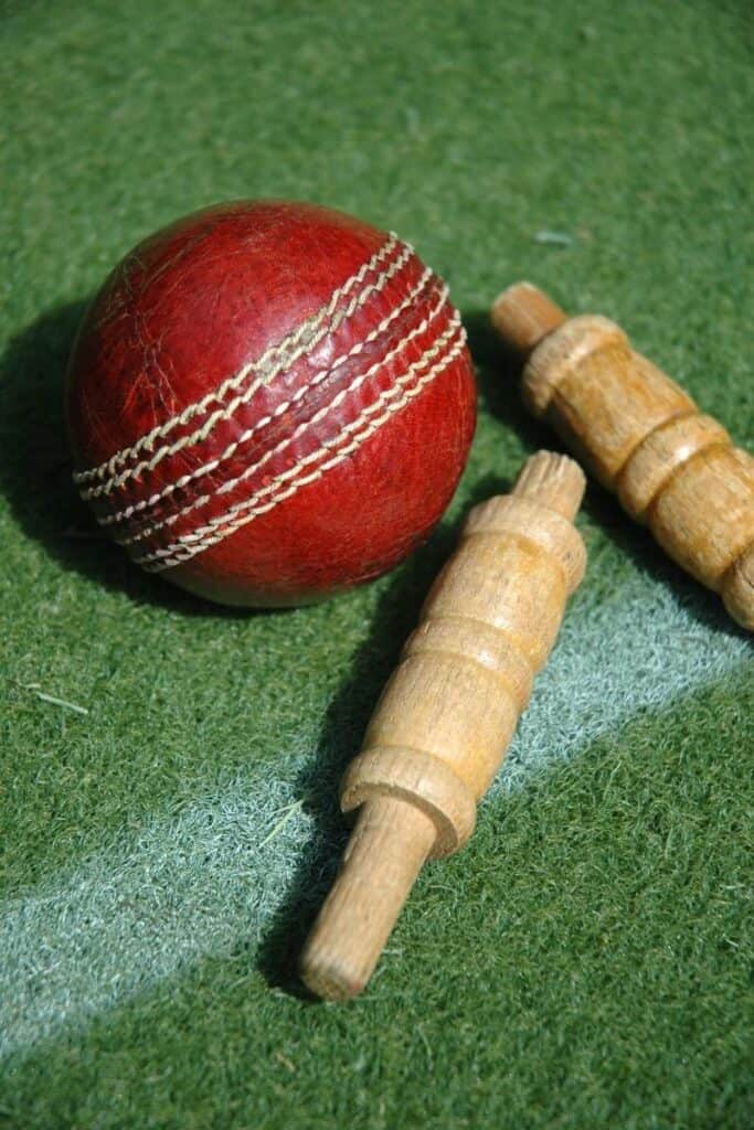 cricket facts and trivia