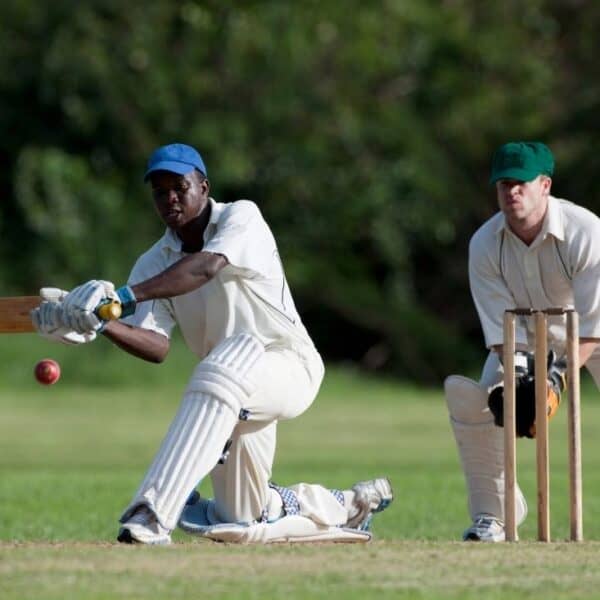 fun facts about cricket