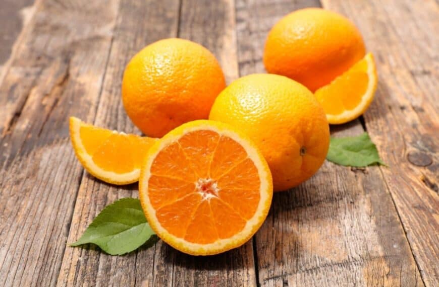 fun facts about oranges