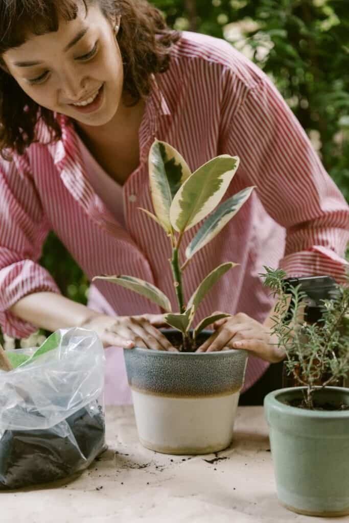 plant facts
