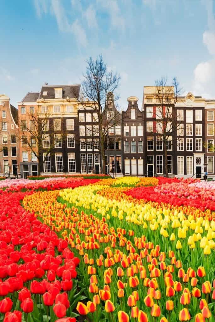 cool facts about amsterdam
