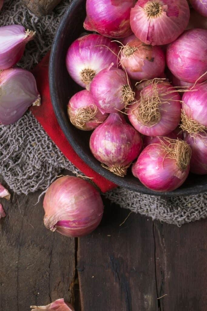 cool facts about onions