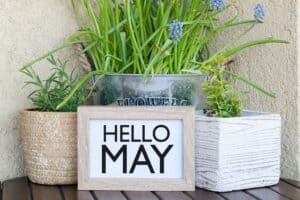 fun facts about may