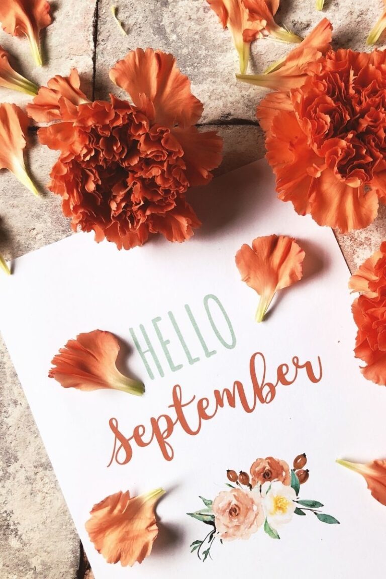 20 FUN Facts About September That Will Amaze You (2023 Facts)