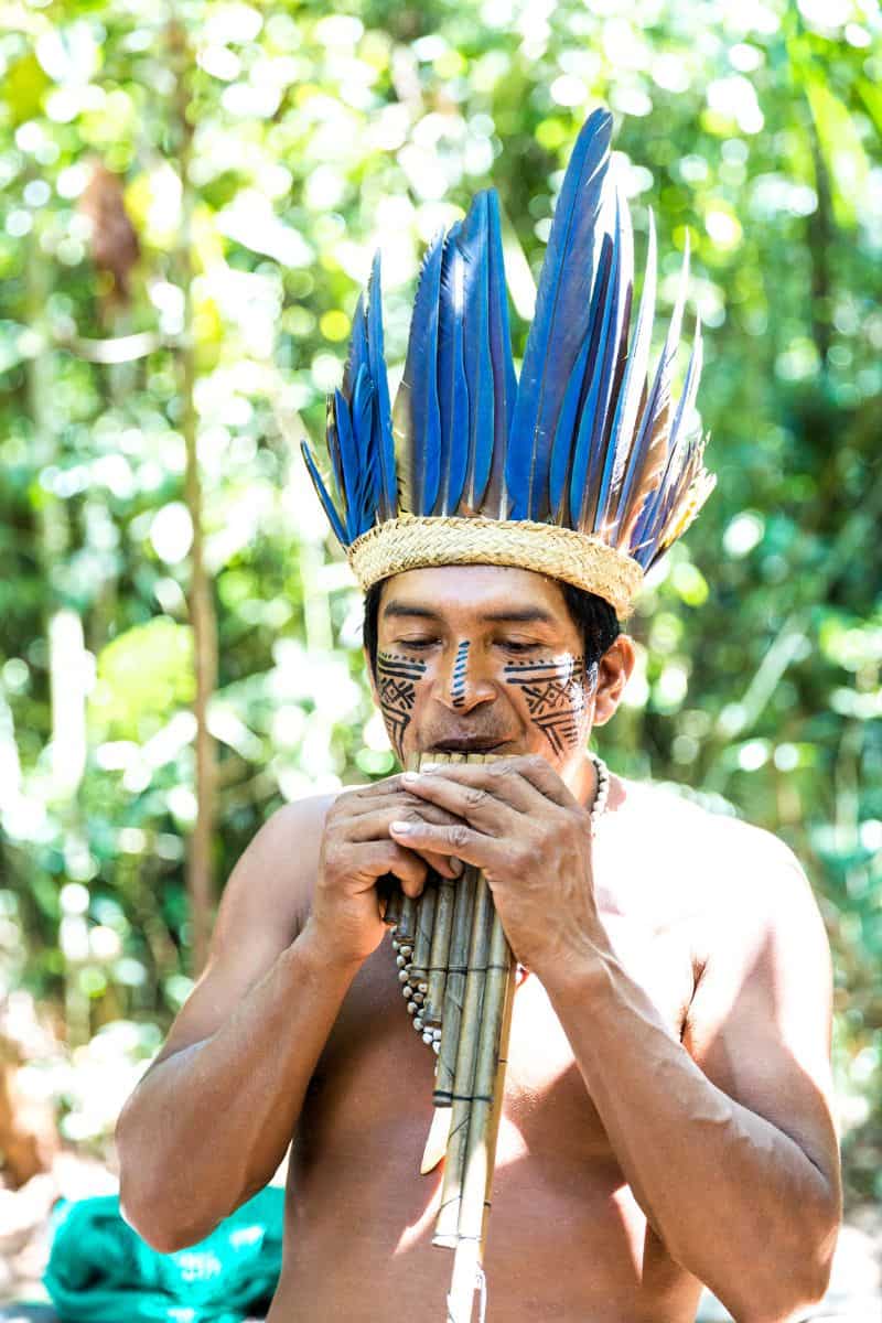 22 FUN Facts About Flutes That Will Amaze You!