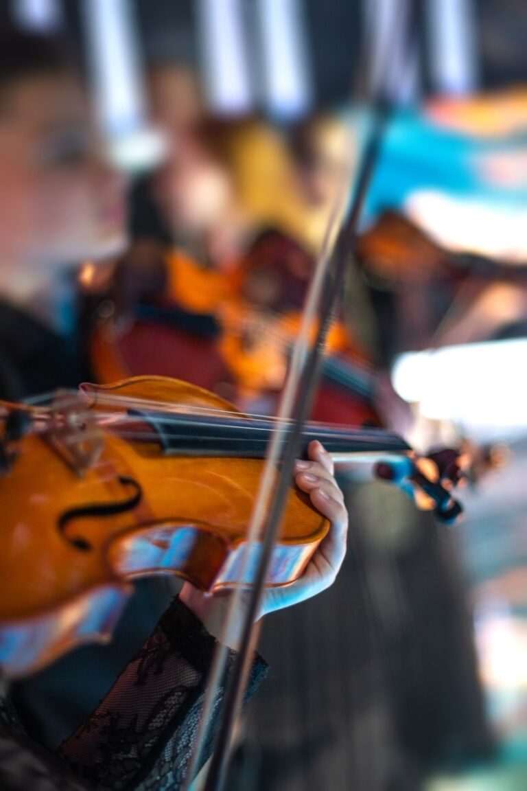 20 FUN Facts About Violins That Will Amaze You!