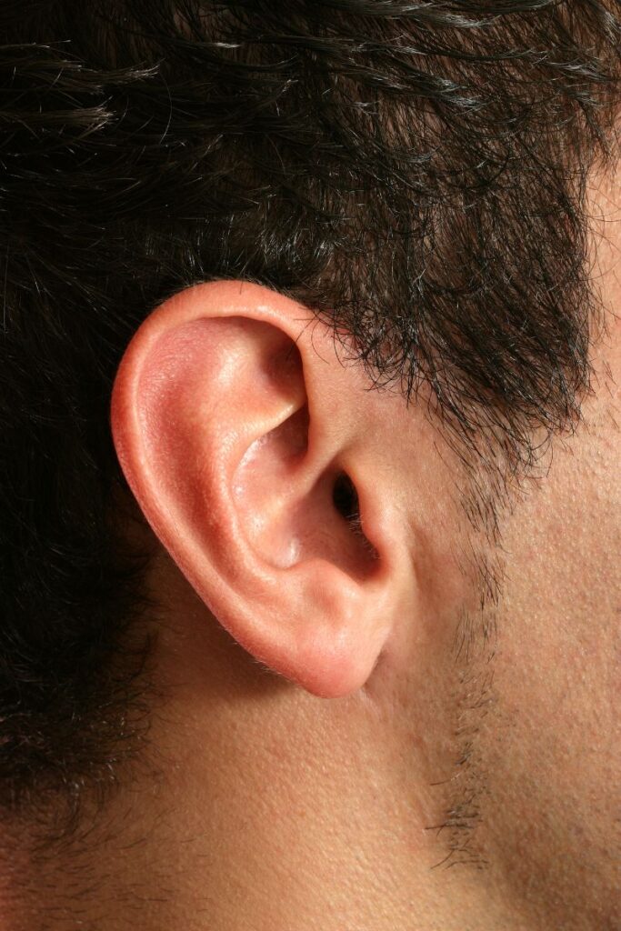 ear information