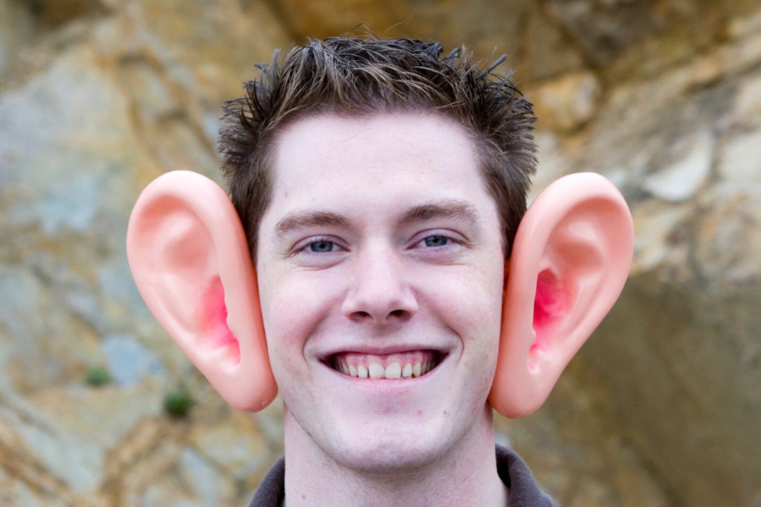 20 Fun Facts About Ears