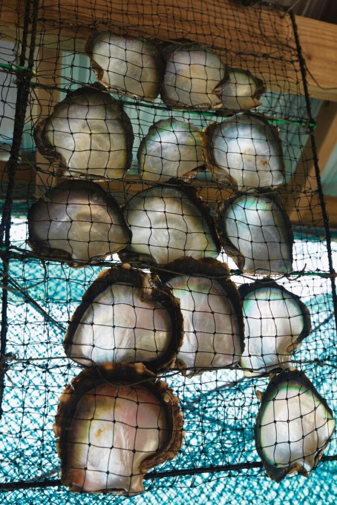 how are pearls grown
