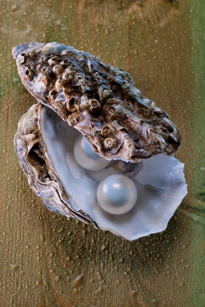 where do pearls come from