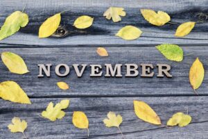 21 Fun Facts About November