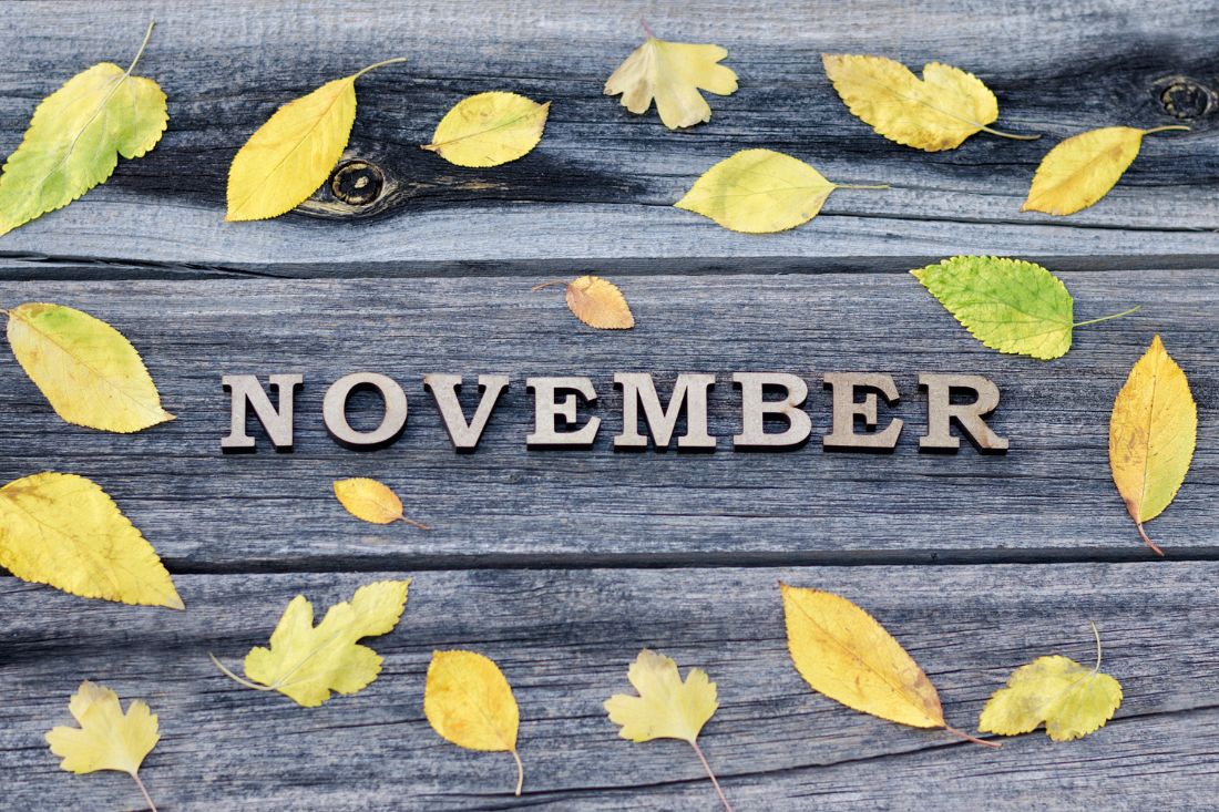 21 Fun Facts About November