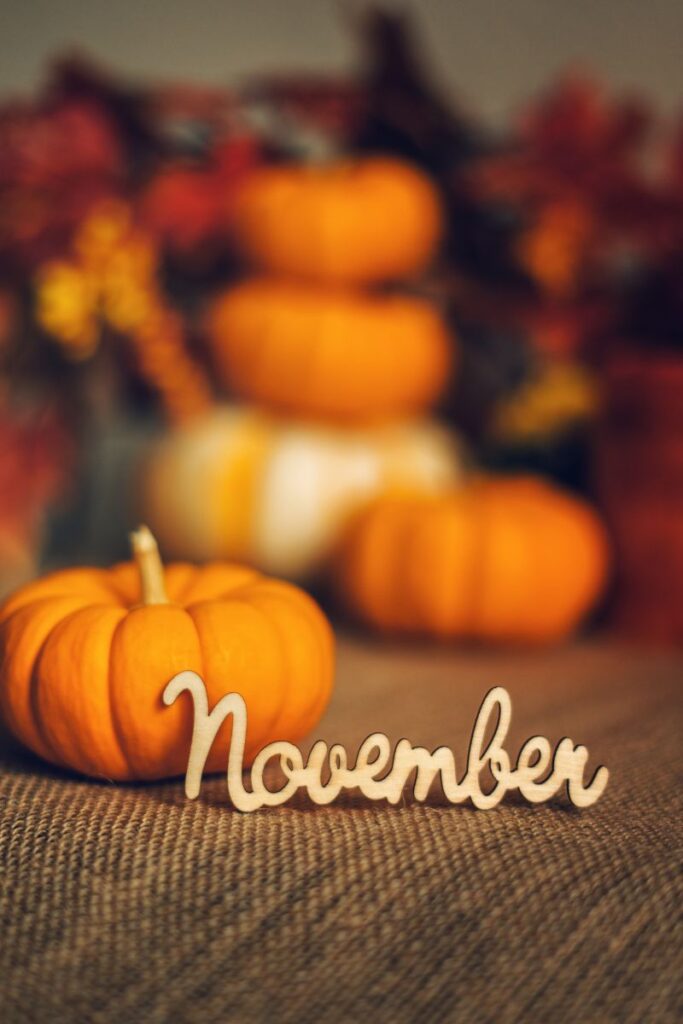 fun facts about november