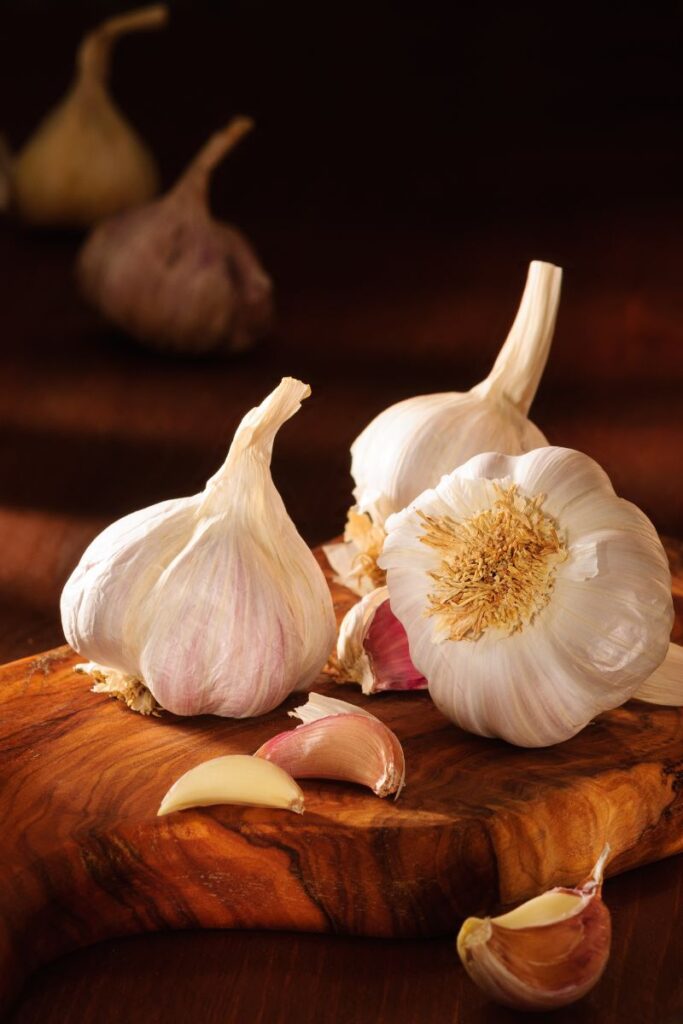 interesting facts about garlic