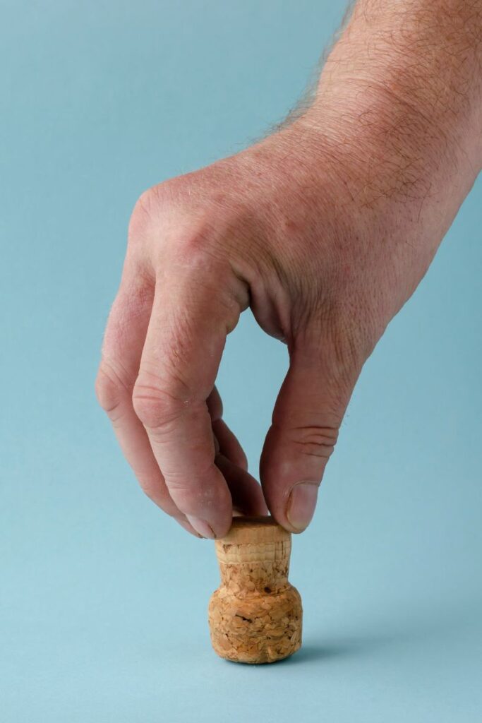 champagne cork