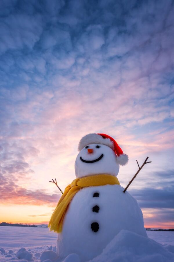 35 FUN Facts About Christmas That Will Amaze You (2024 Facts)