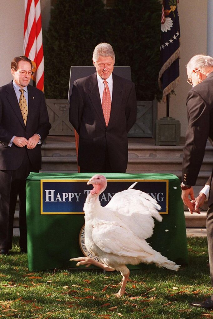 pardoning thanksgiving turkey