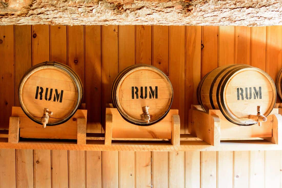 19 Fun Facts About Rum