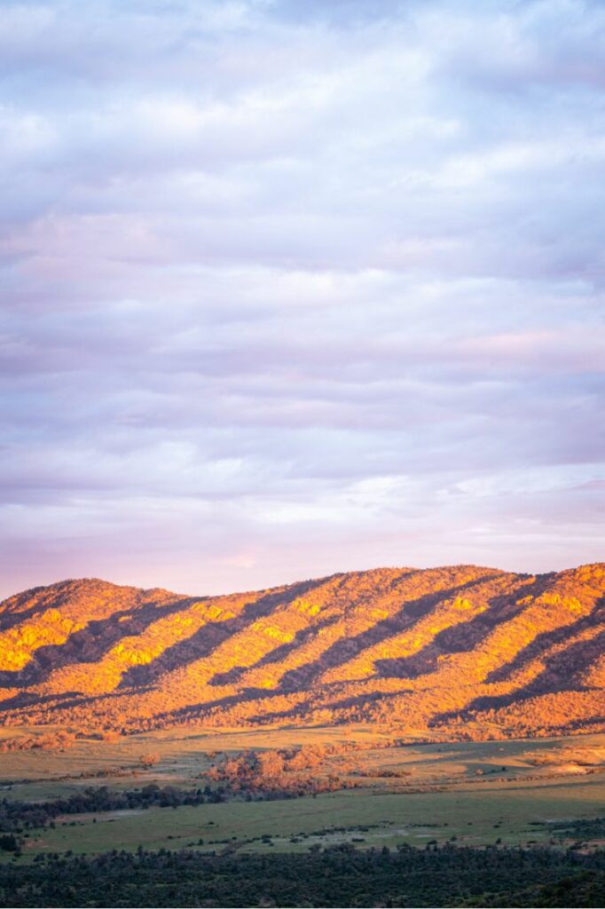 facts about flinders ranges