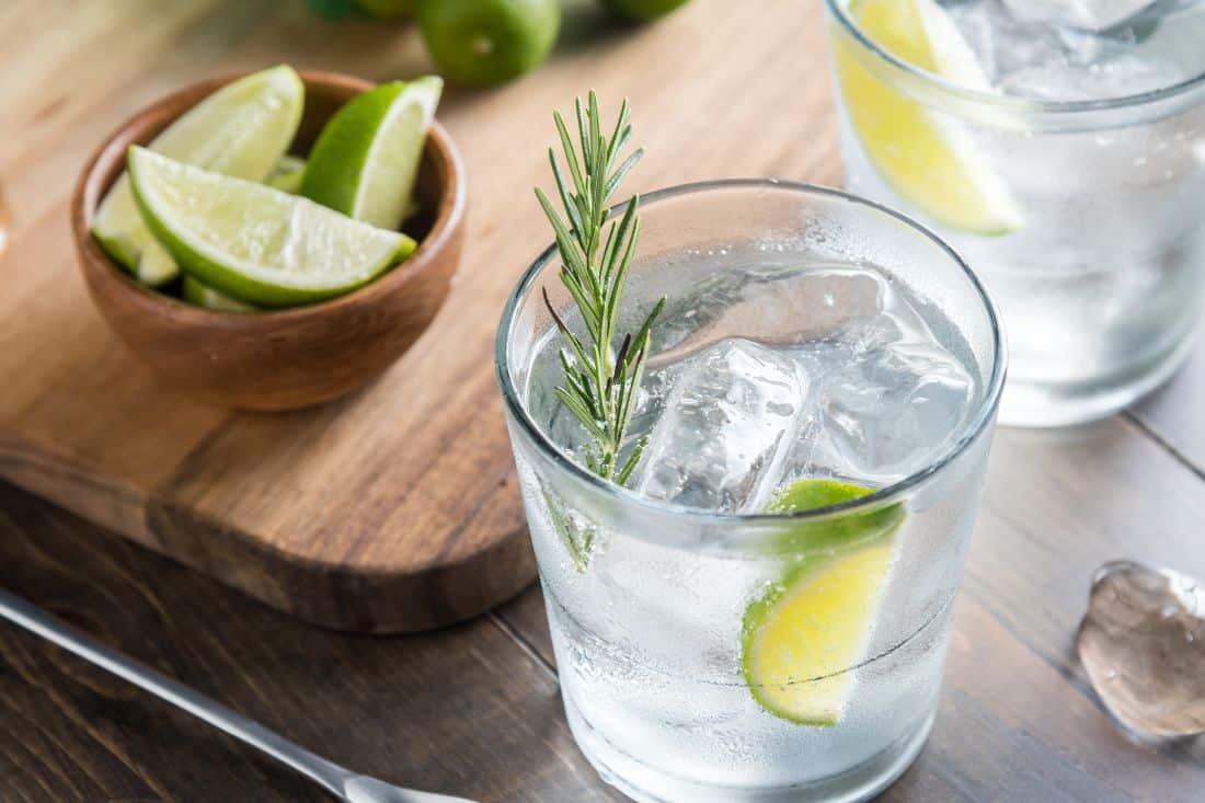 facts about gin