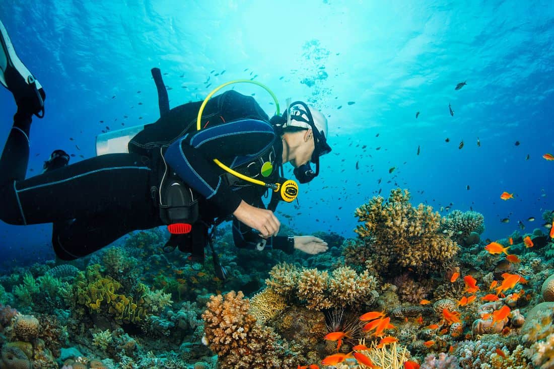 facts about scuba diving