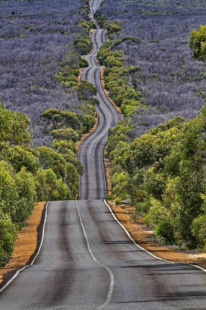 flinders chase national park facts