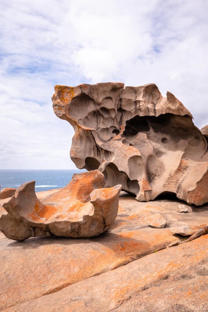 kangaroo island information