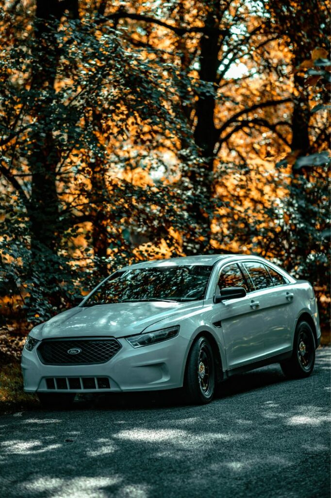 ford taurus