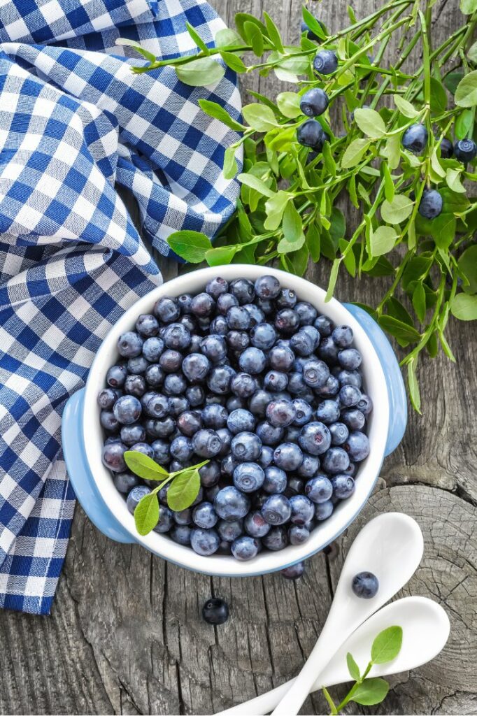 blueberry facts