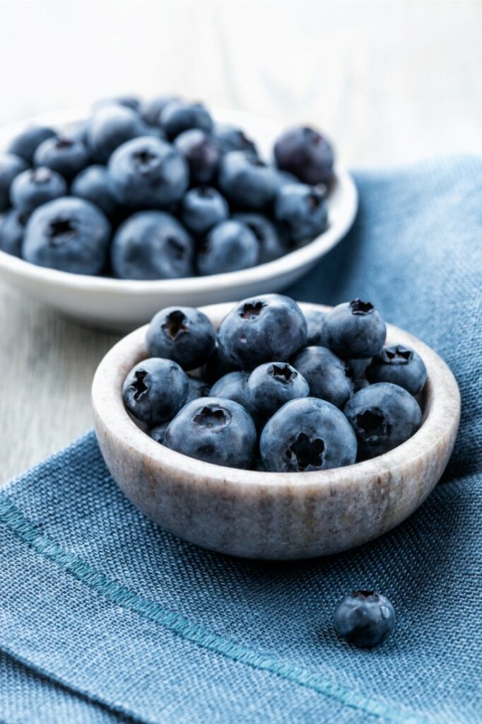 fun facts about blueberries