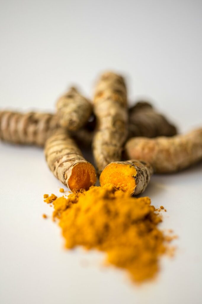 turmeric information