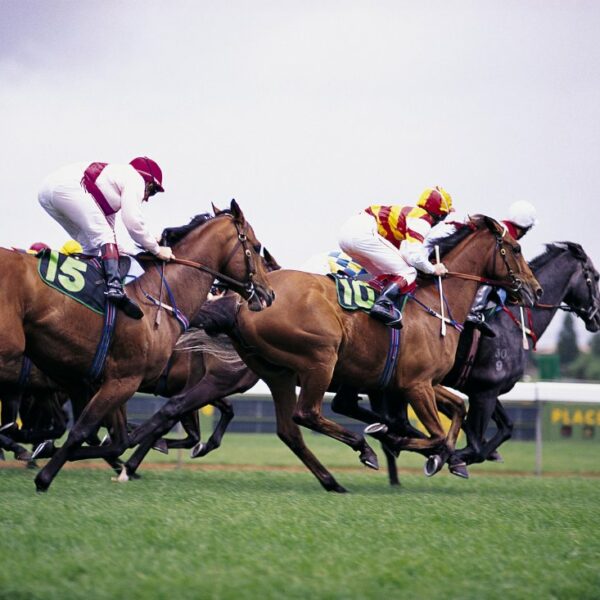 facts about grand national