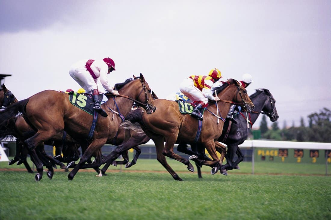 facts about grand national