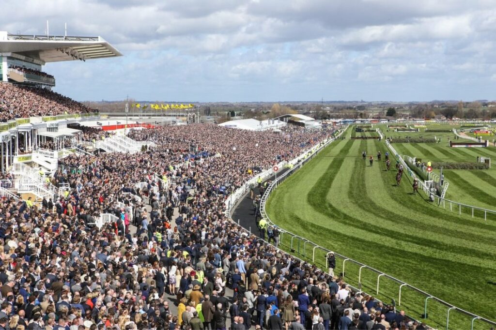 grand national information