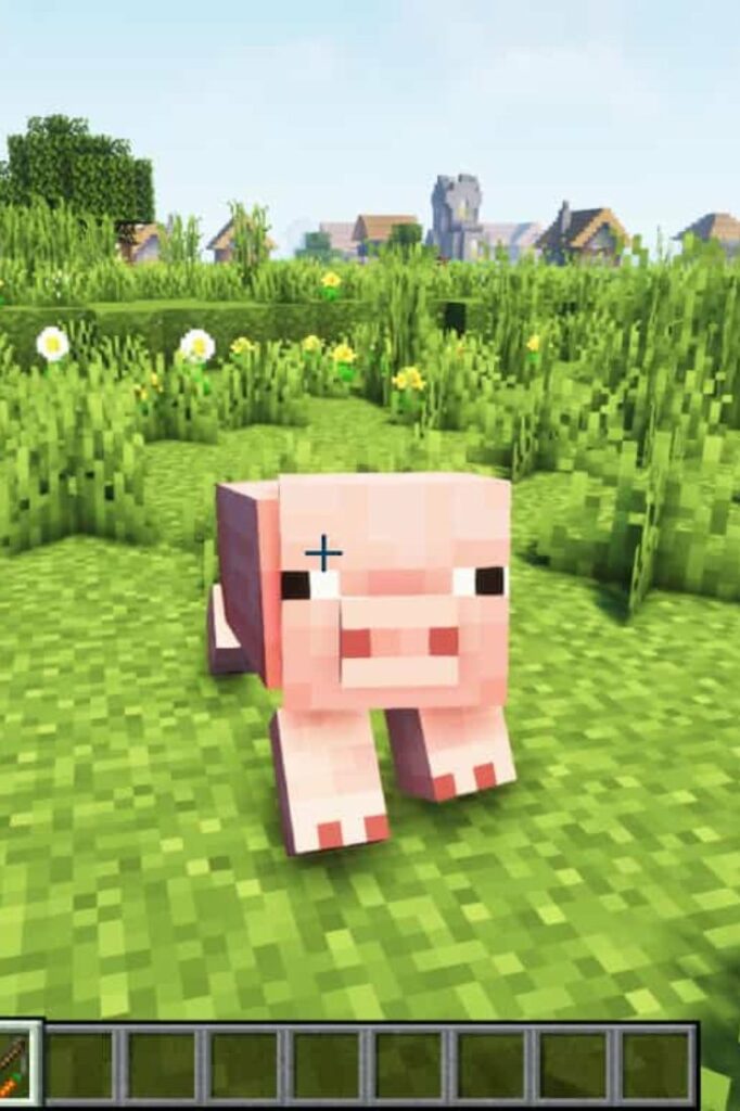 pixel pig