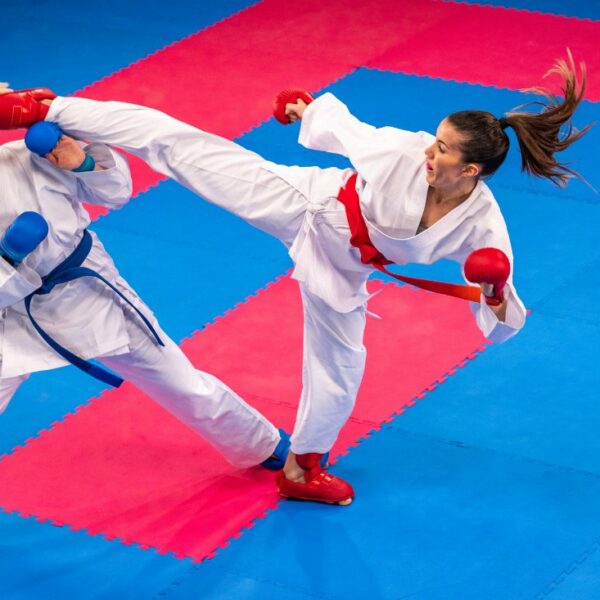 facts about karate