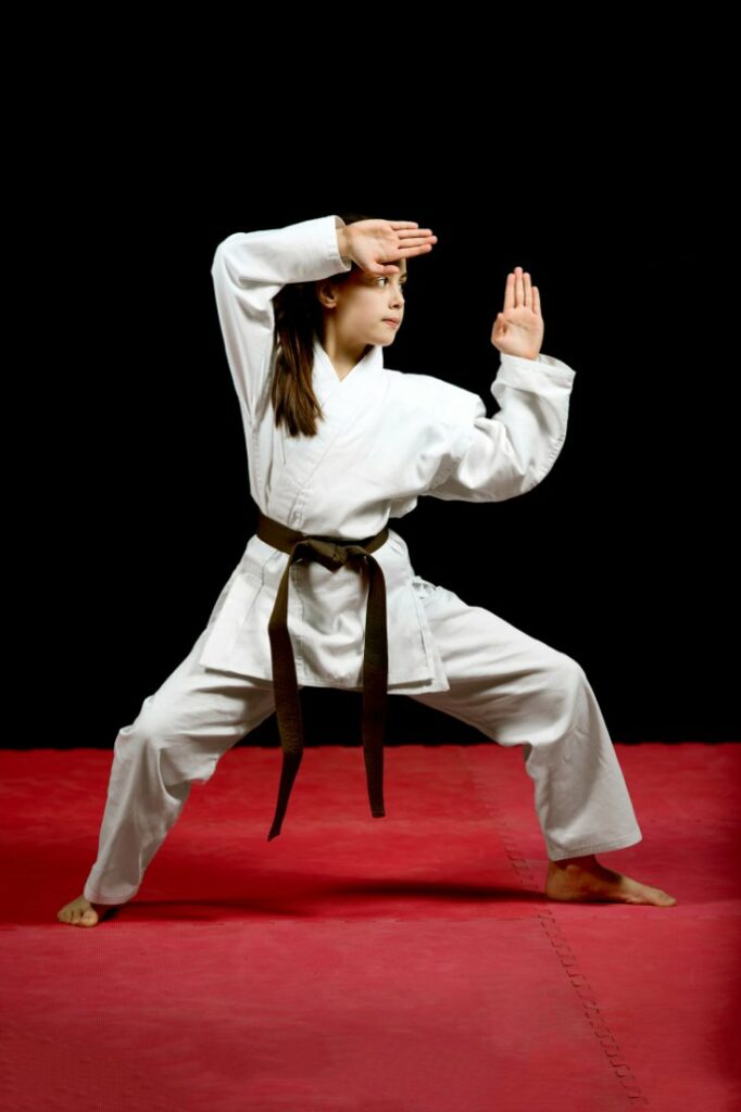 karate information