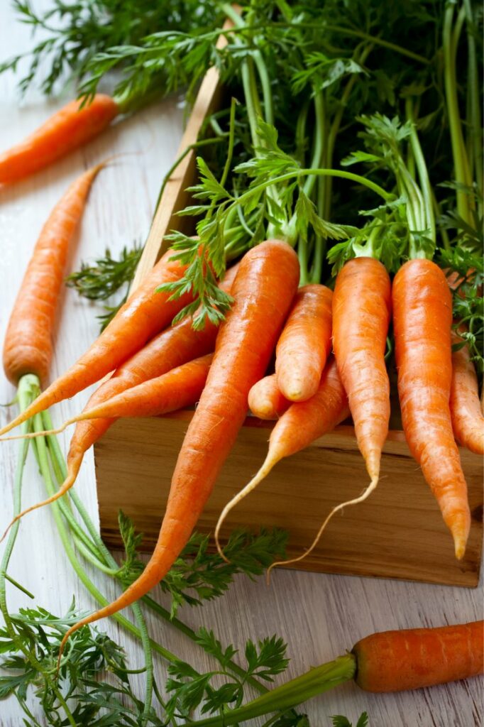 best facts about carrots