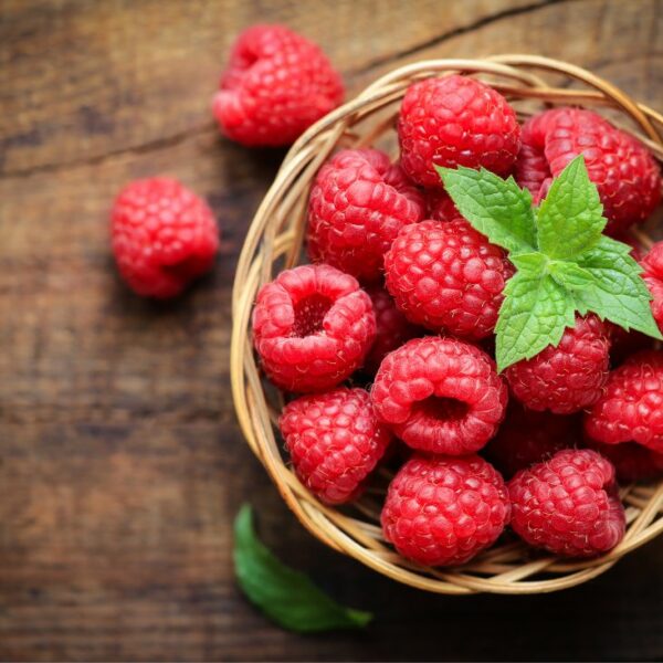 facts about raspberries