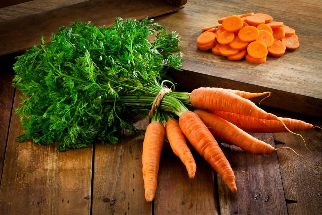 fun facts about carrots