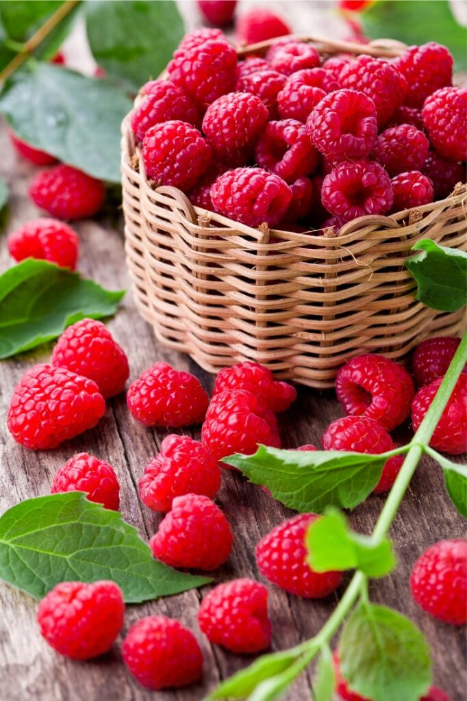 fun facts about raspberries